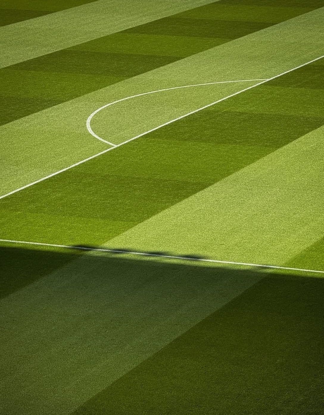 Goalink background