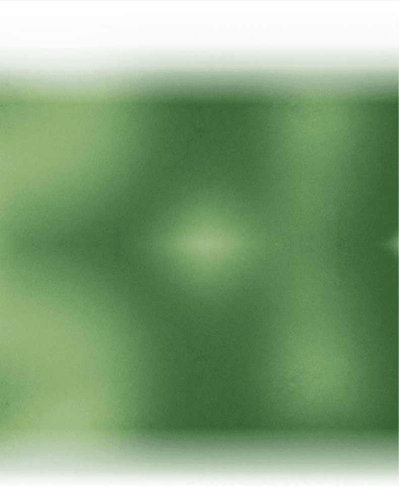 Fondo Verde